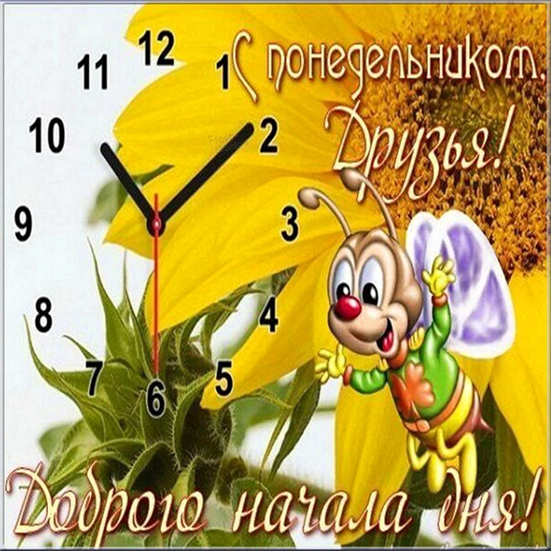 С добрым утром понедельника