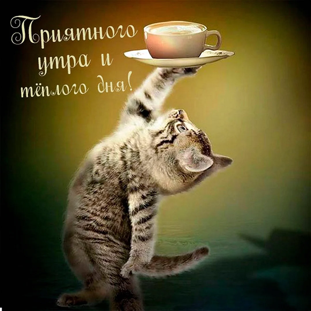 С добрым утром прикол