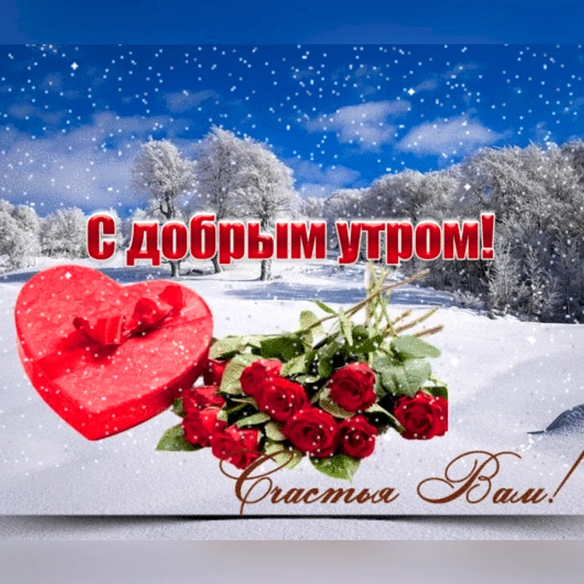 С добрым утром розы на снегу