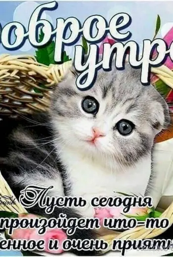 С добрым утром рыбка