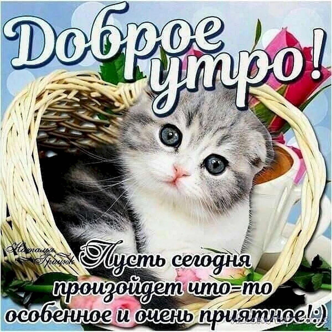 С добрым утром рыбка