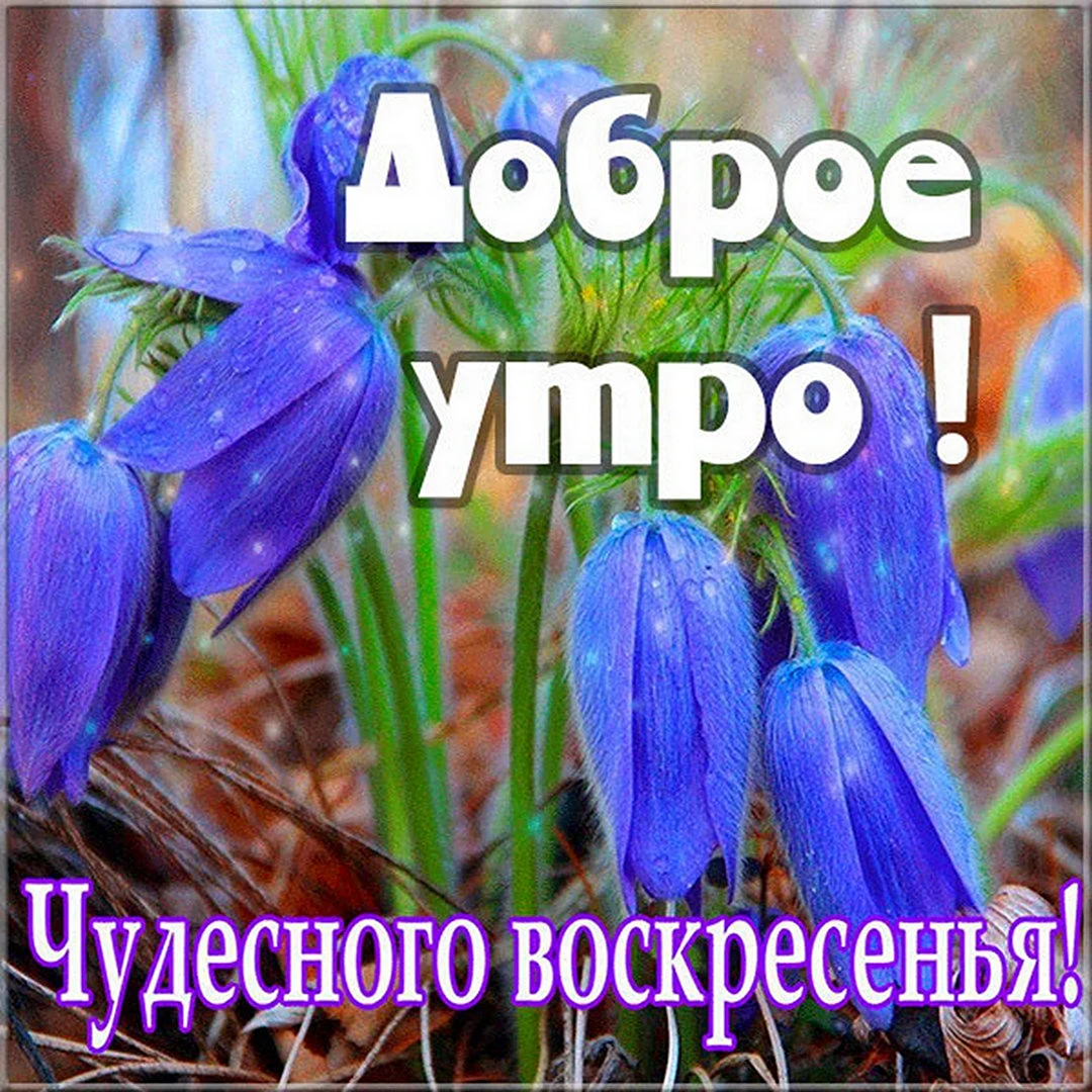 С добрым утром воскресенья