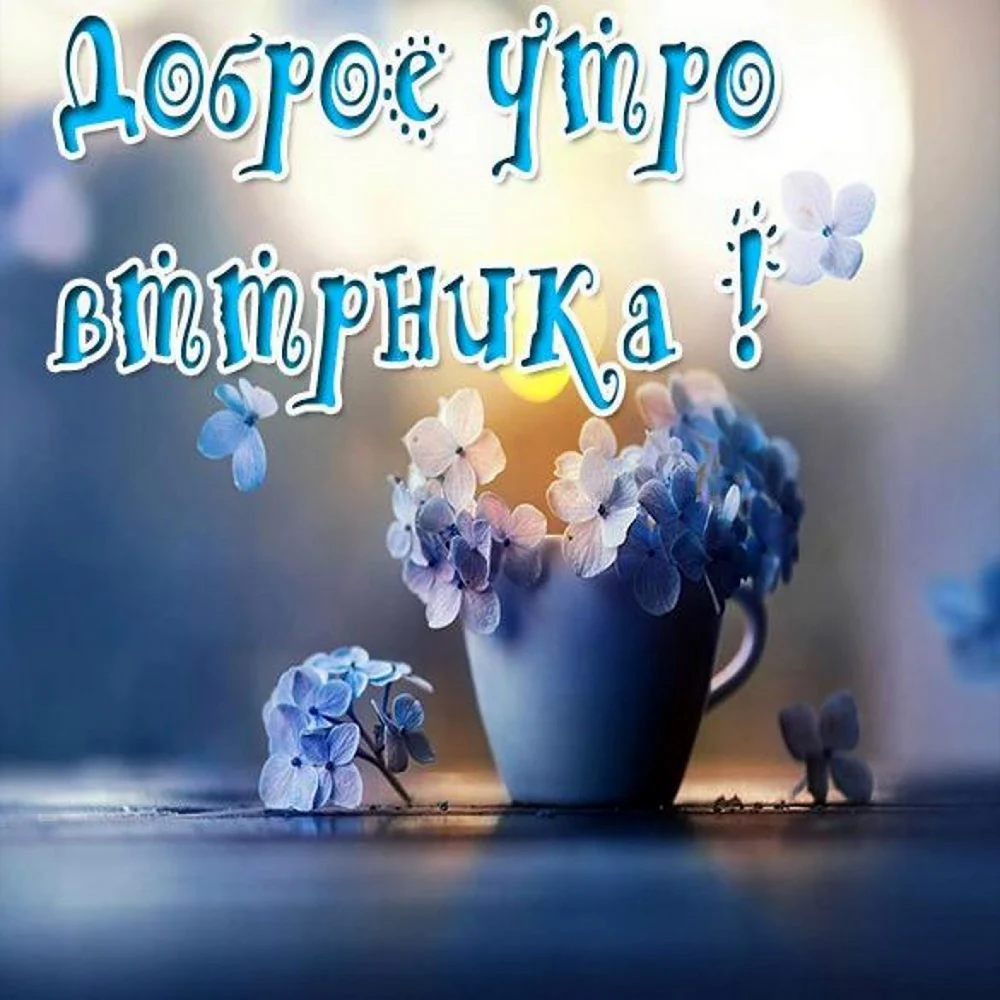 С добрым утром вторника