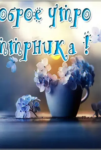 С добрым утром вторника