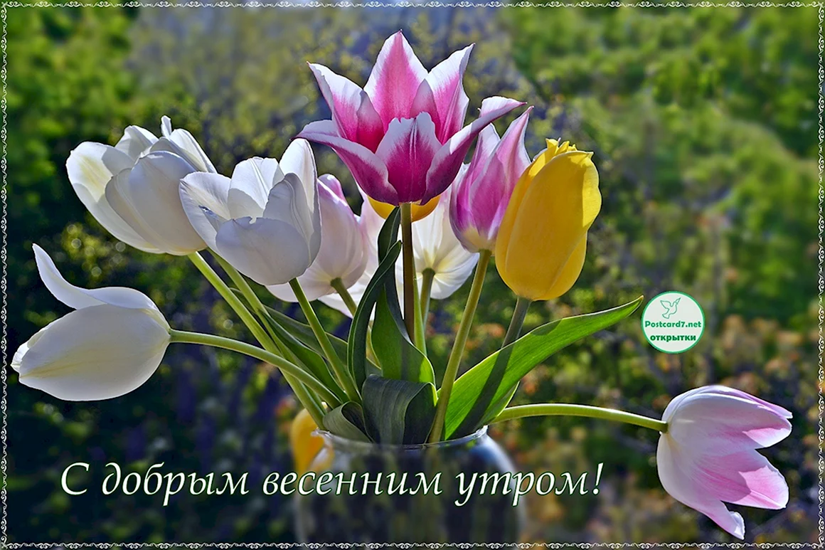 С добрым весенним утром
