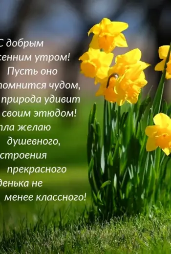 С добрым весенним утром