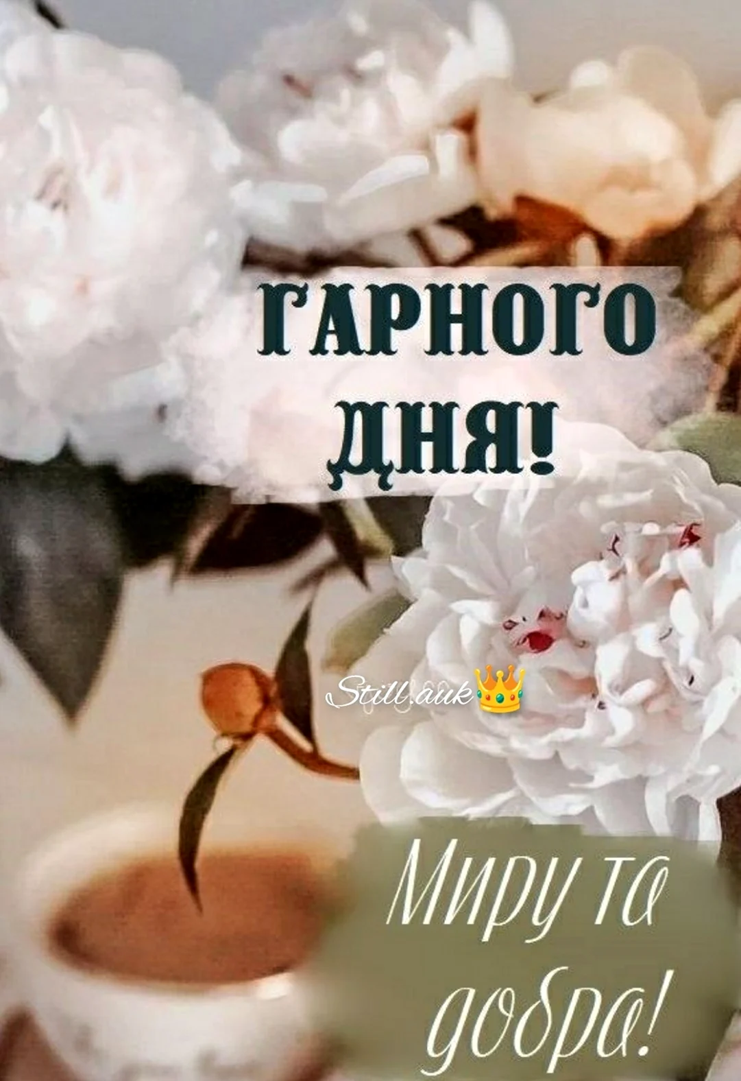 С добрым воскресным утром