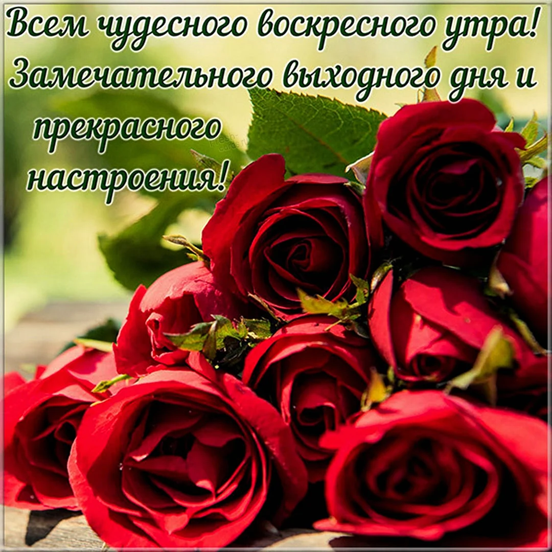 С добрым воскресным утром