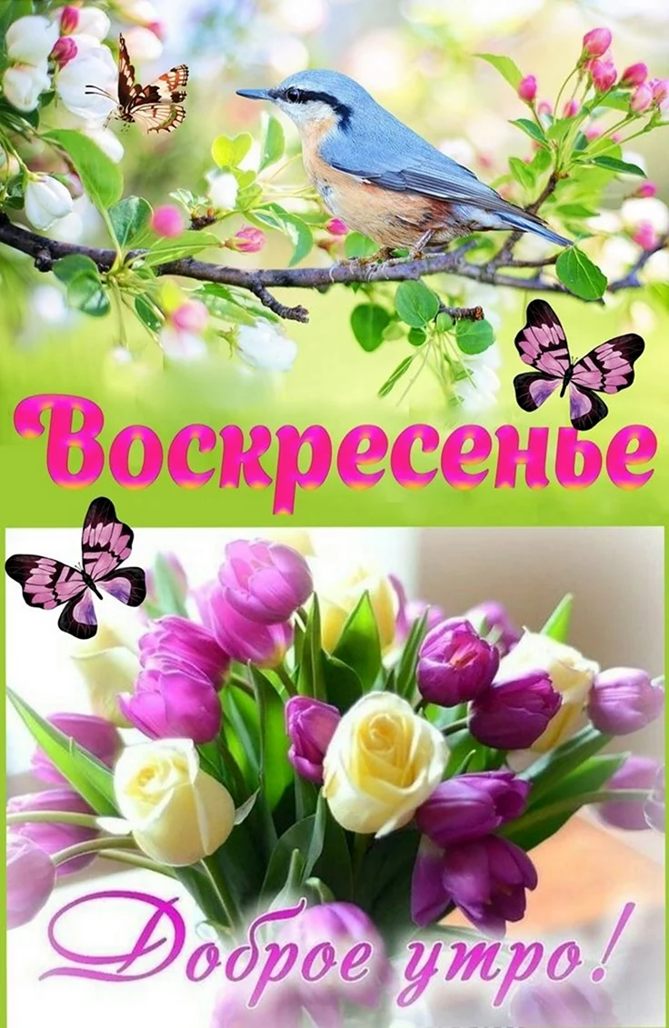 С добрым воскресным весенним утром