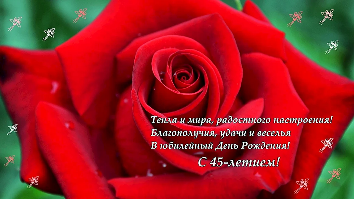 С юбилеем 45 женщине