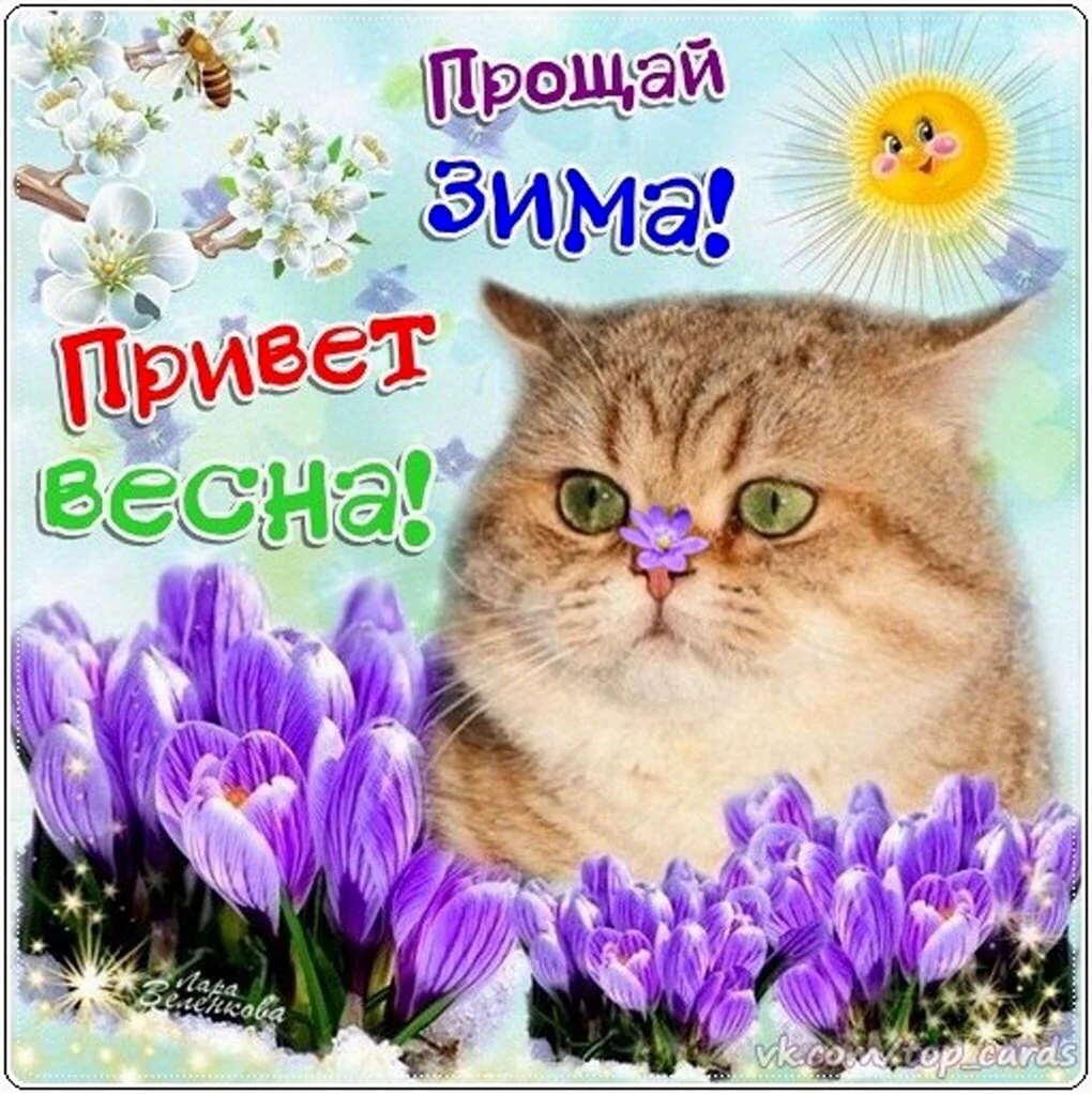 С началом весны