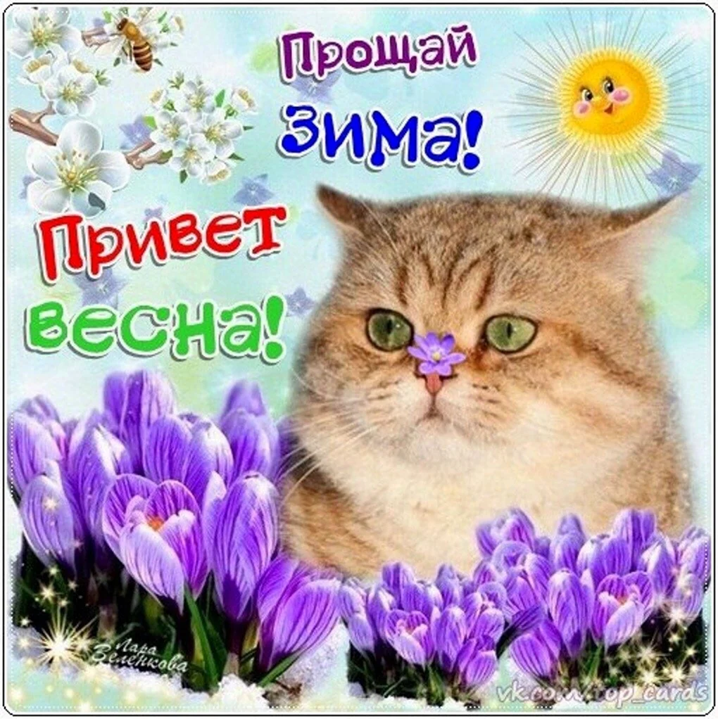 С началом весны