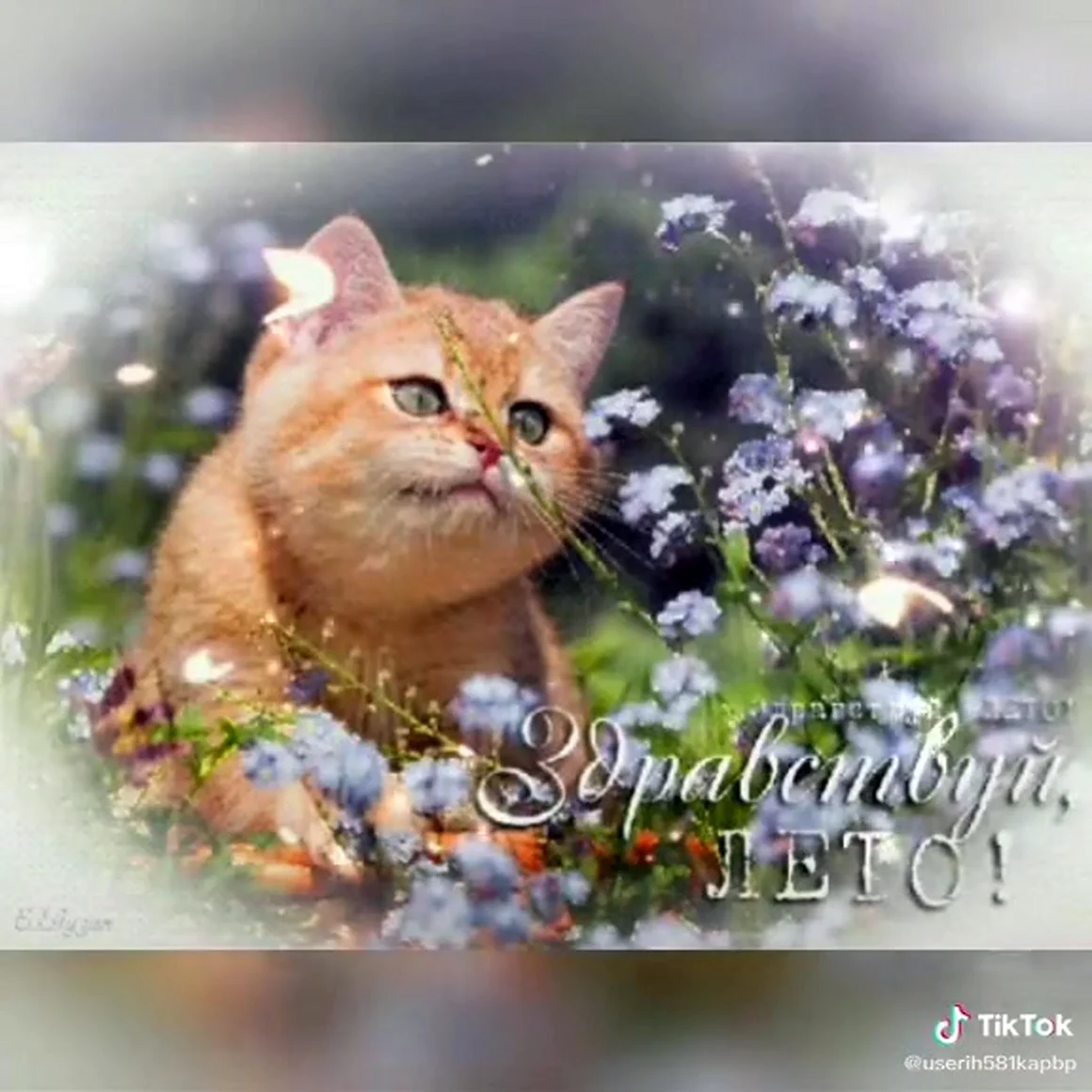 С первым днем лета