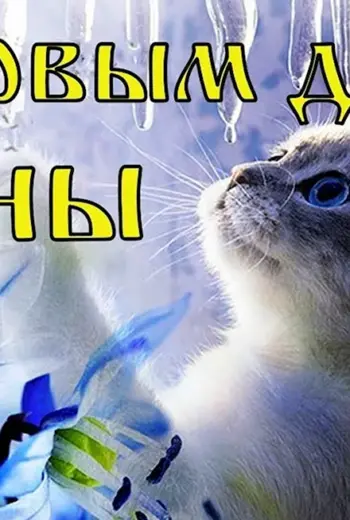 С первым днем весны