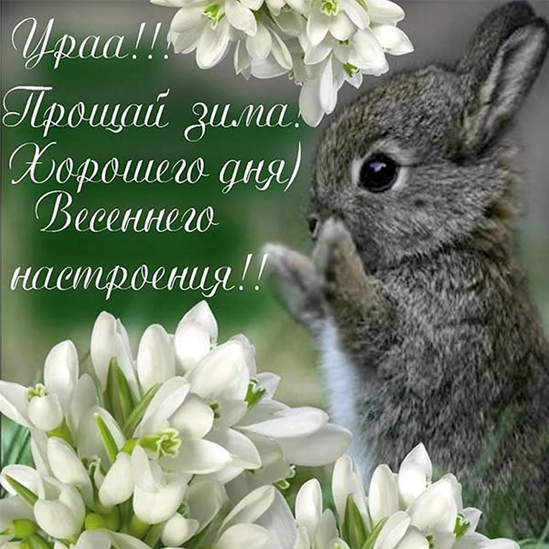 С первым днем весны