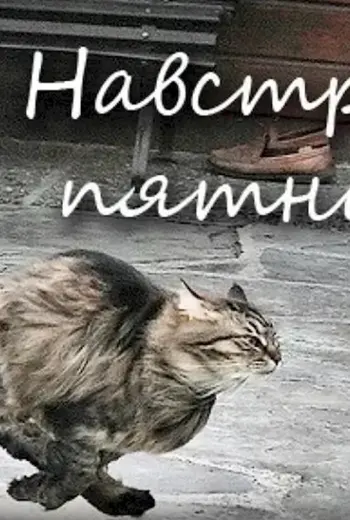 С пятницей картинки