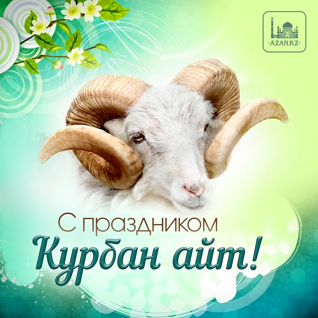 С праздником Курбан