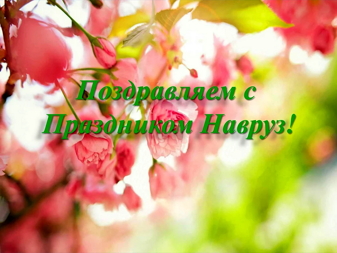 С праздником Навруз