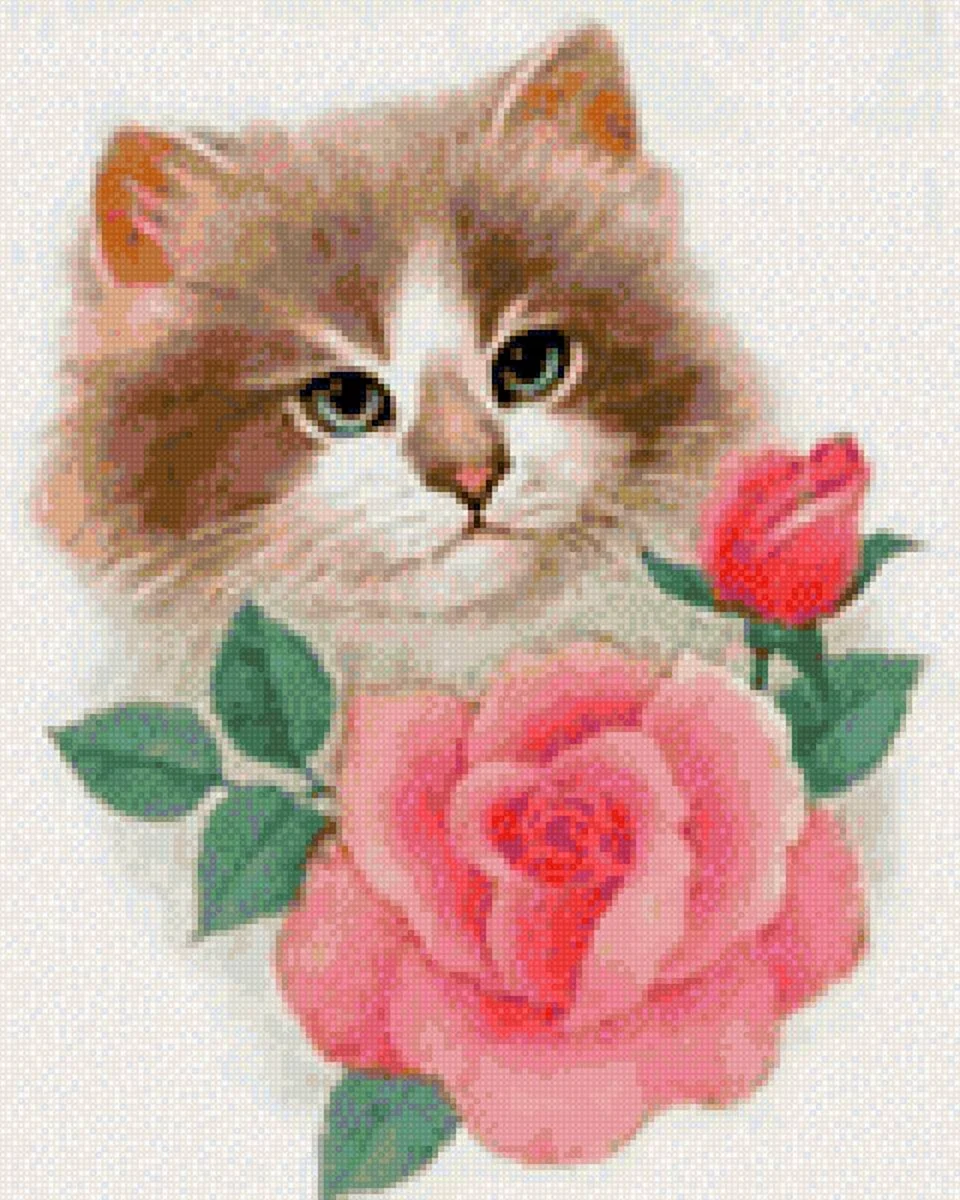 С розочками кошечки