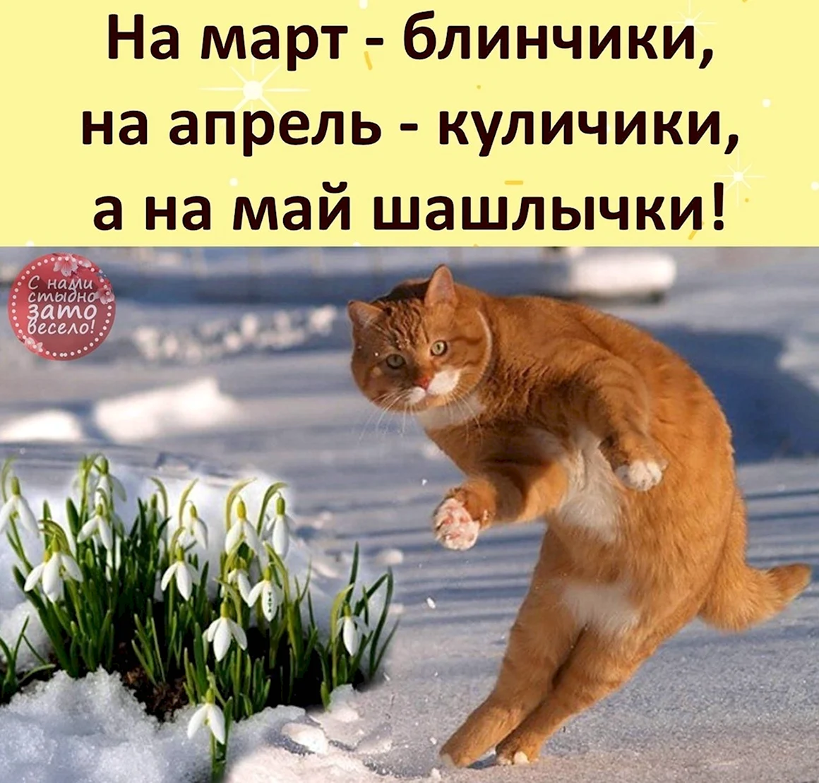 С весной прикольные