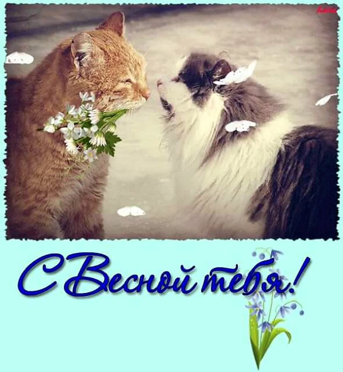 С весной тебя