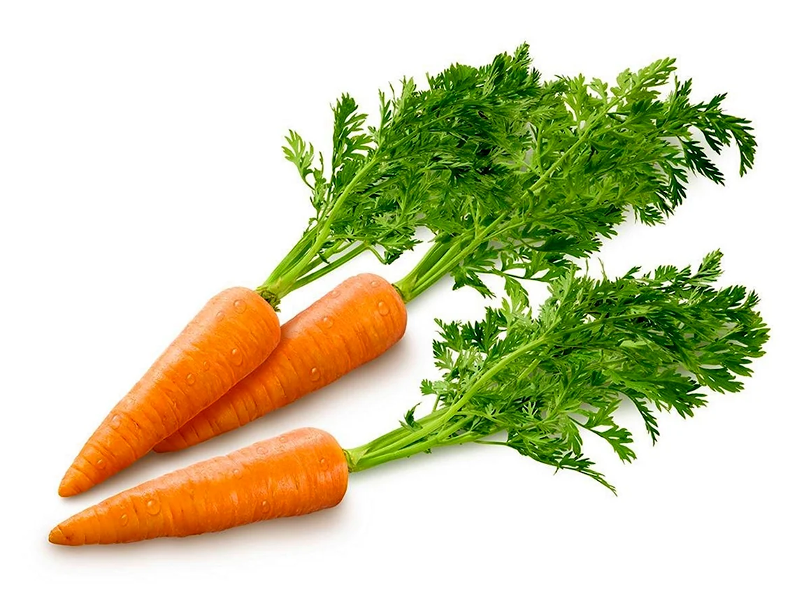 Sabzi sabzavot