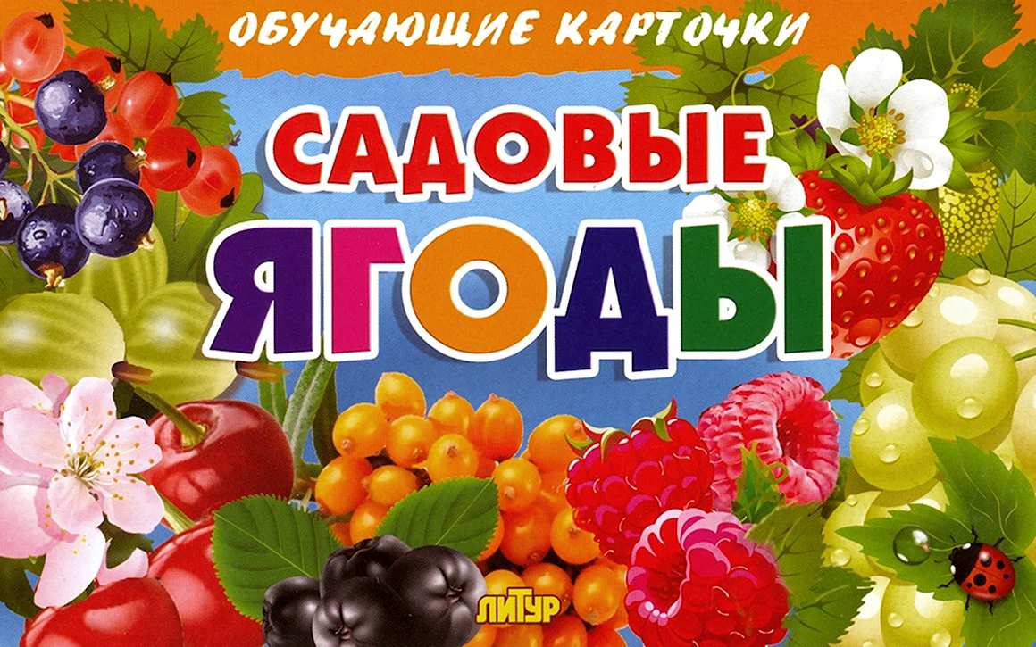 Садовые ягоды