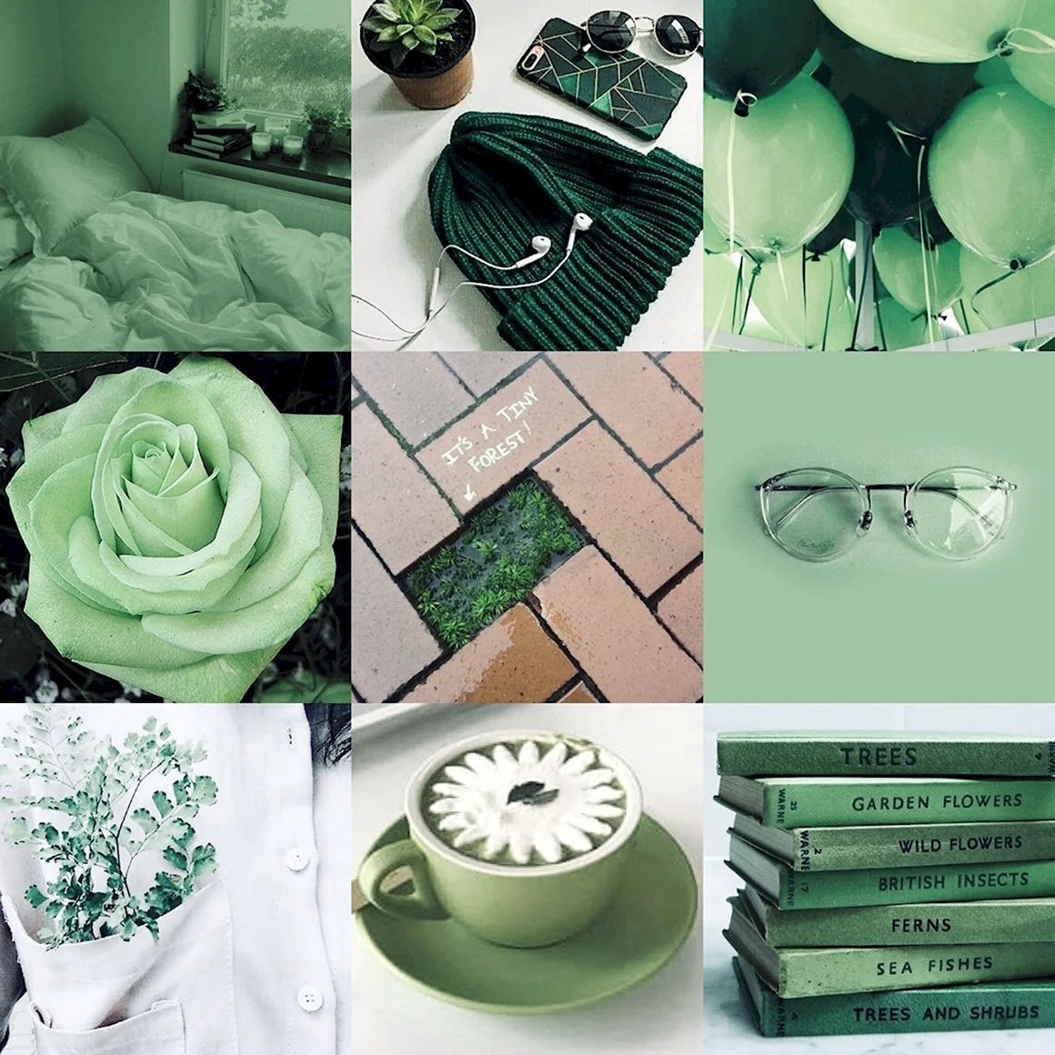 Sage Green Эстетика