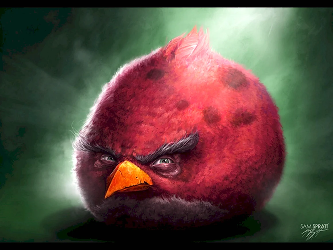 Sam Spratt Angry Birds