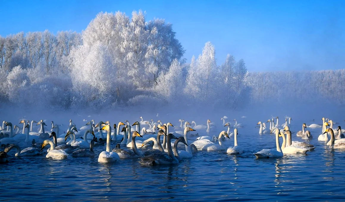 Самая красивая Страна фотоконкурс