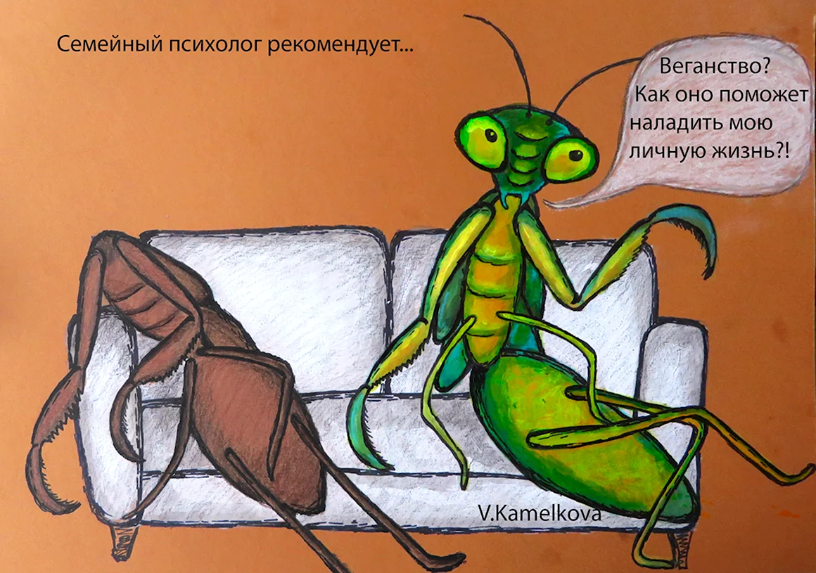 Самка богомола