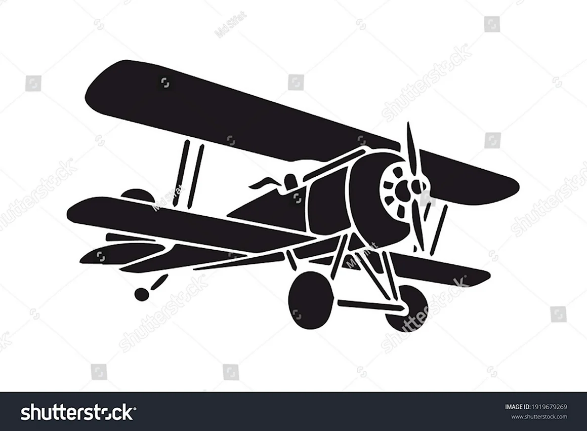 Самолет АН 2 вектор