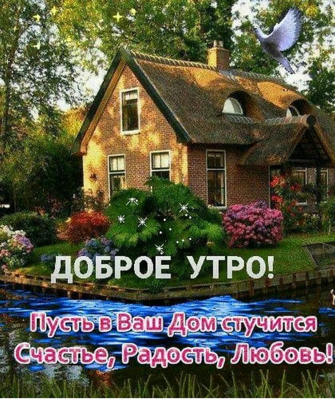 Счастье в доме