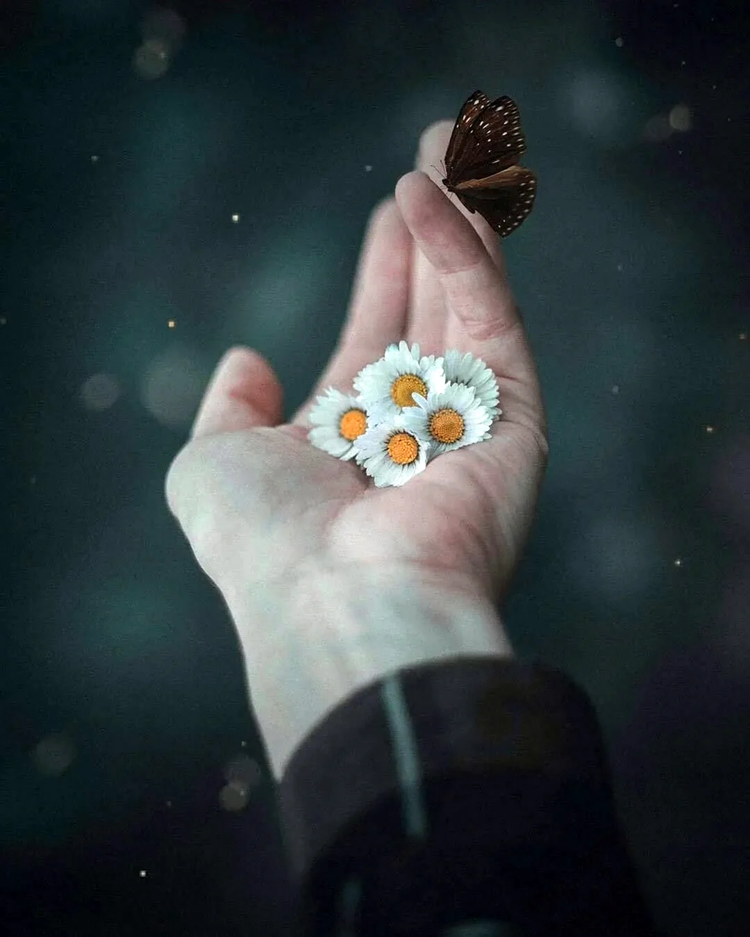 Счастье в простоте