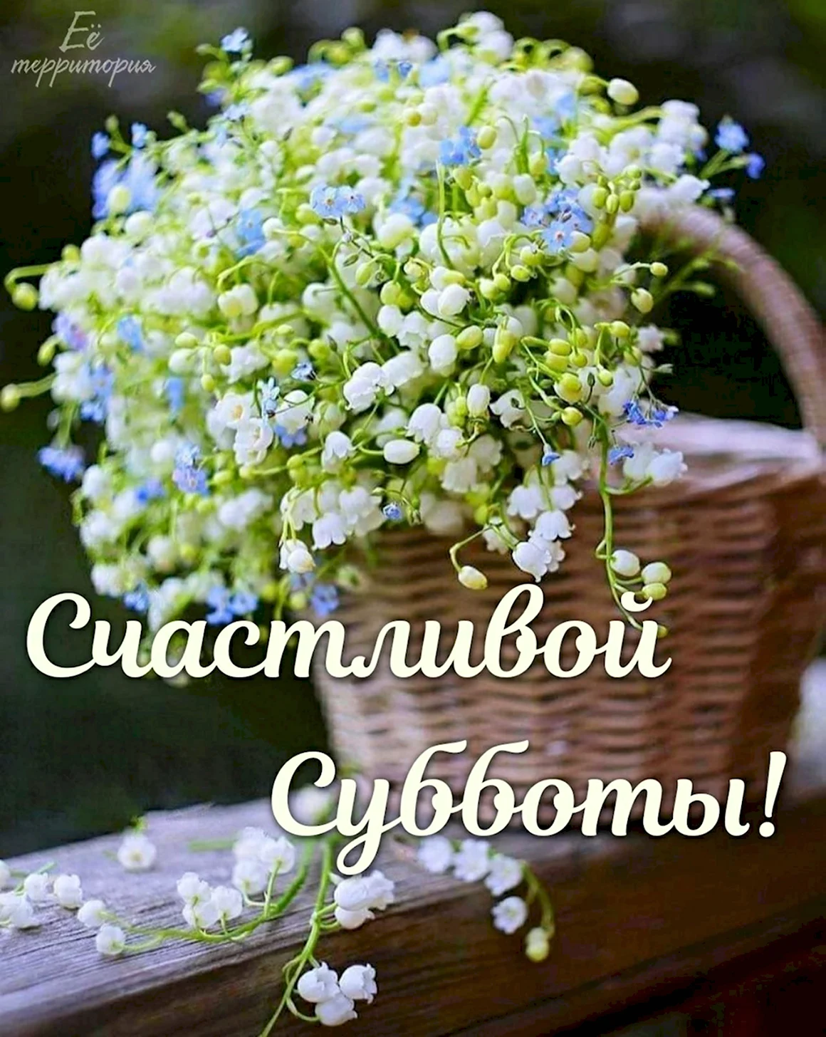 Счастливой субботы