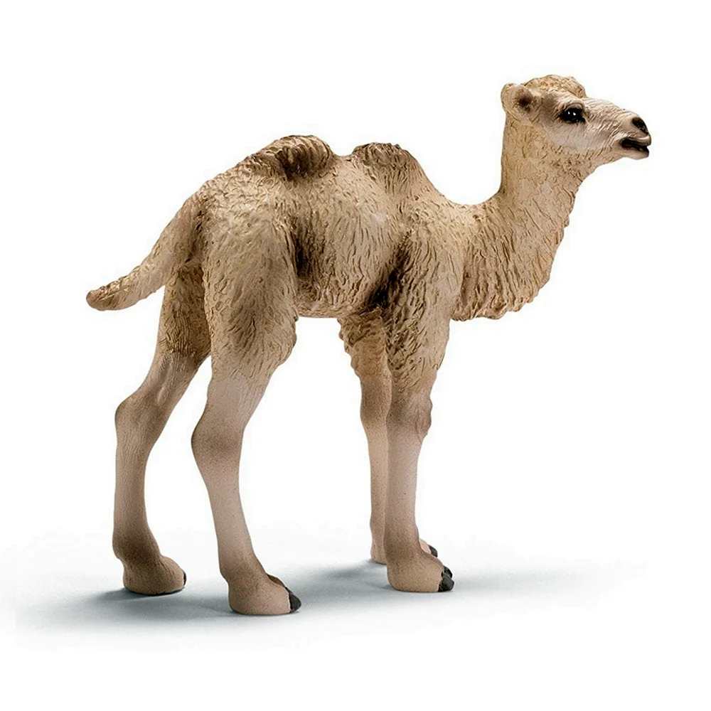 Schleich двугорбый верблюд
