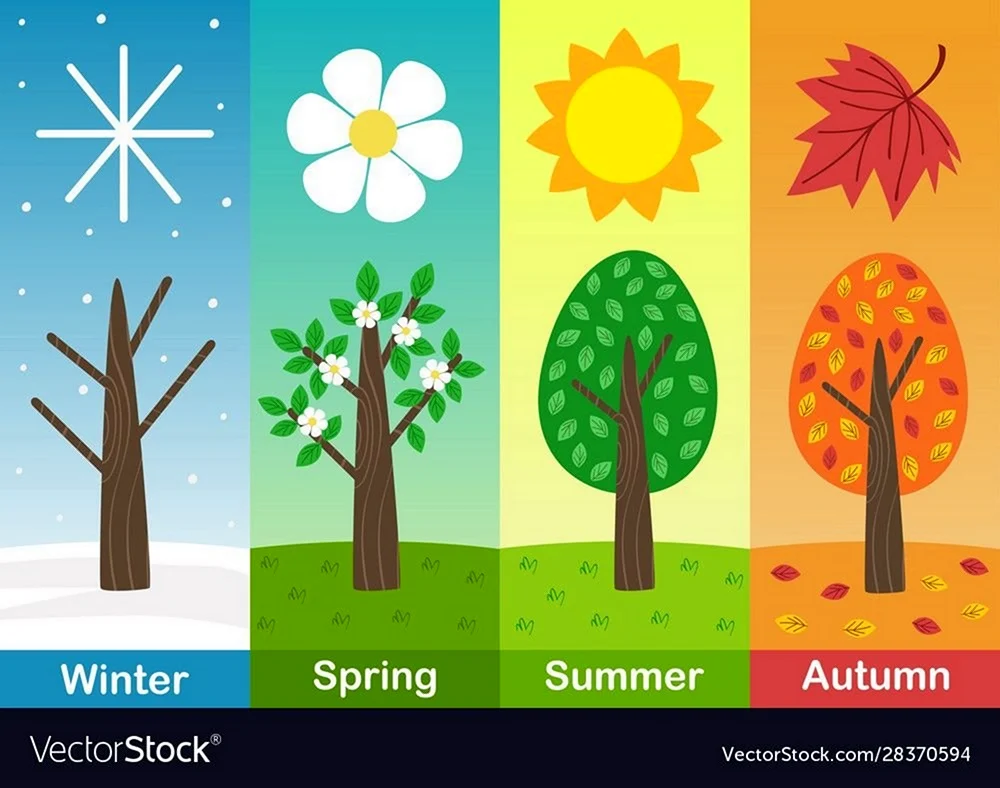 Seasons картинки