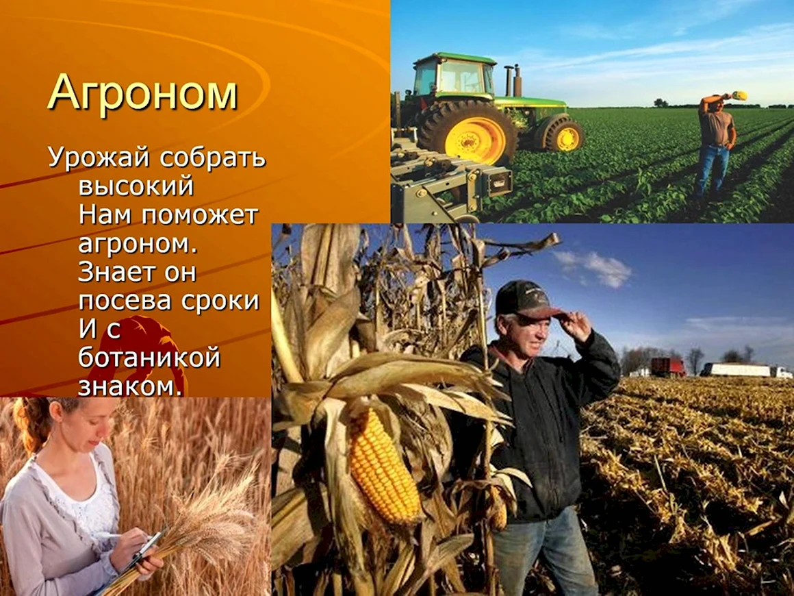 Сельхоз профессии