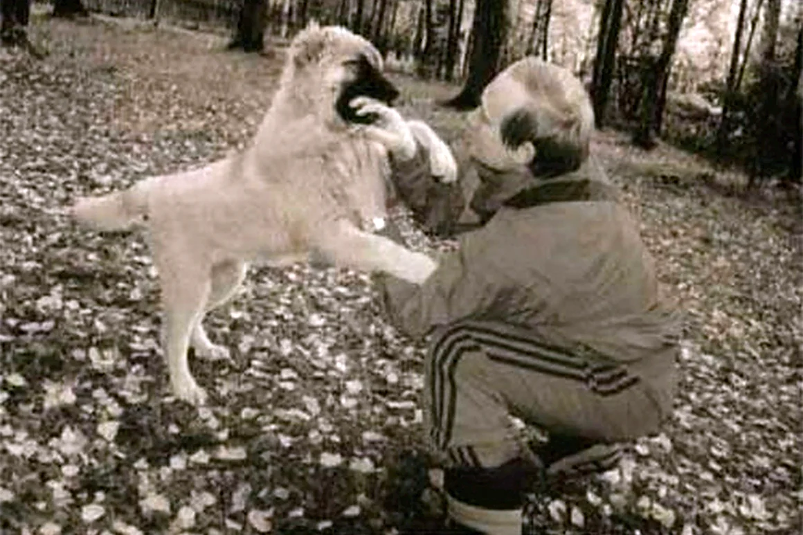 Семейный фотоальбом Владимира Путина