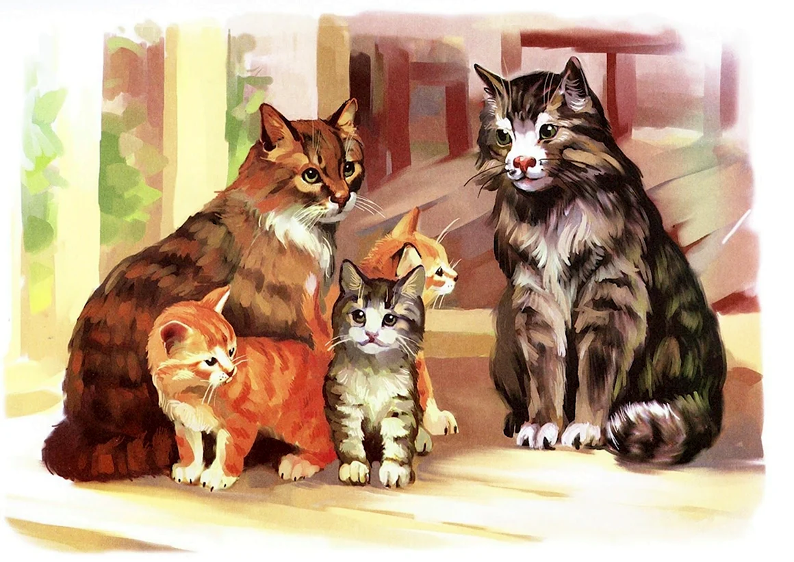 Семья котов