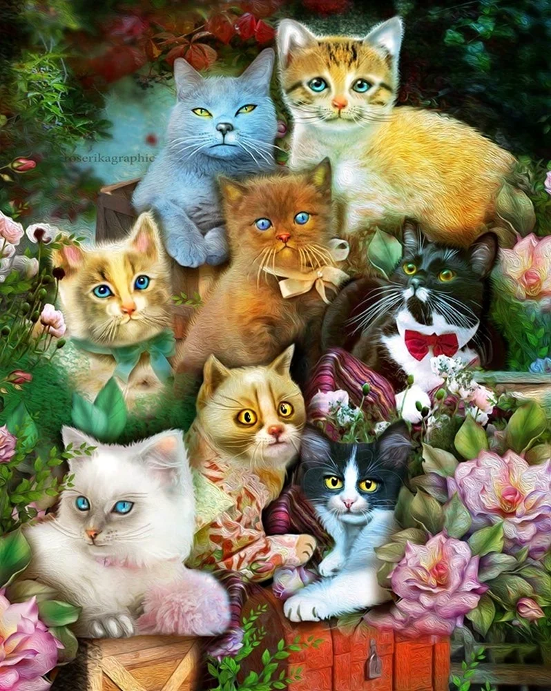 Семья котов