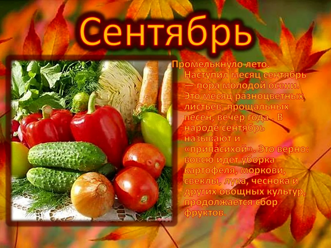Сентябрь месяц