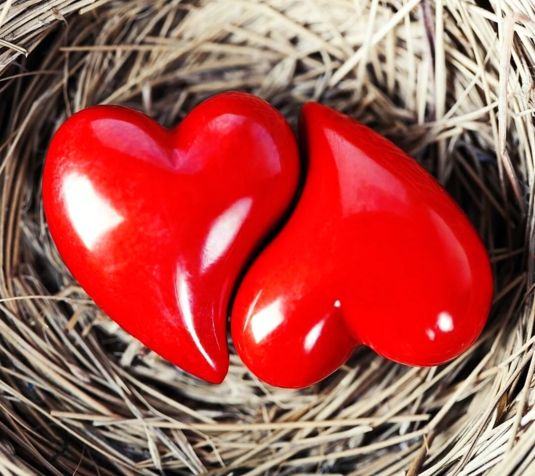 Сердце