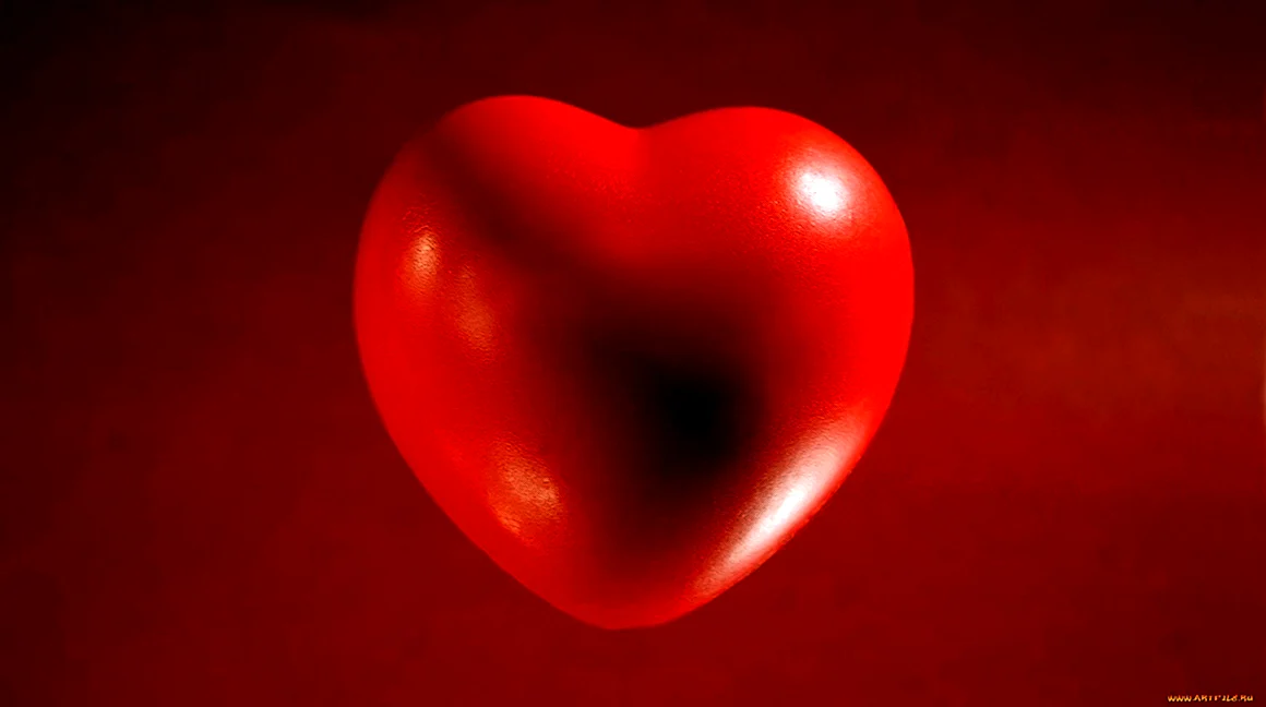 Сердце