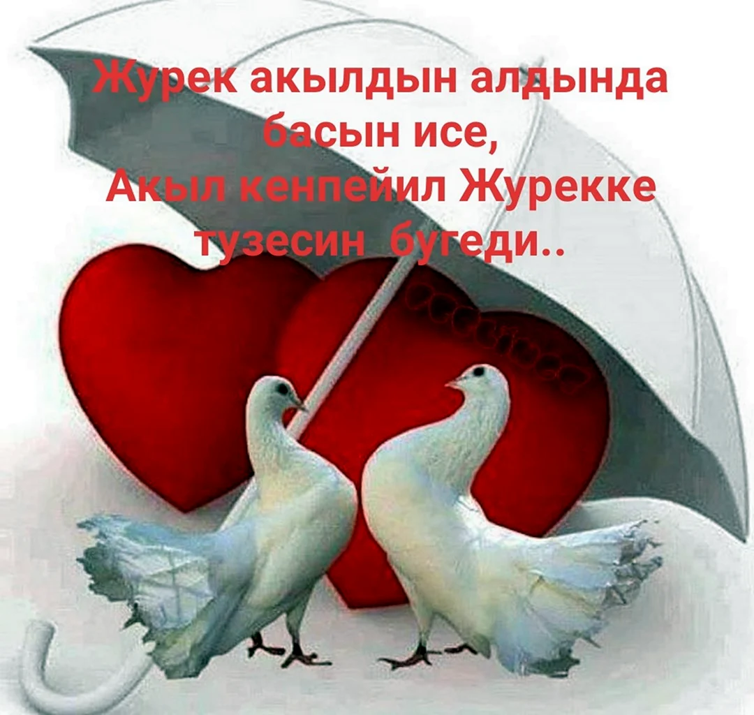 Сердце голубя