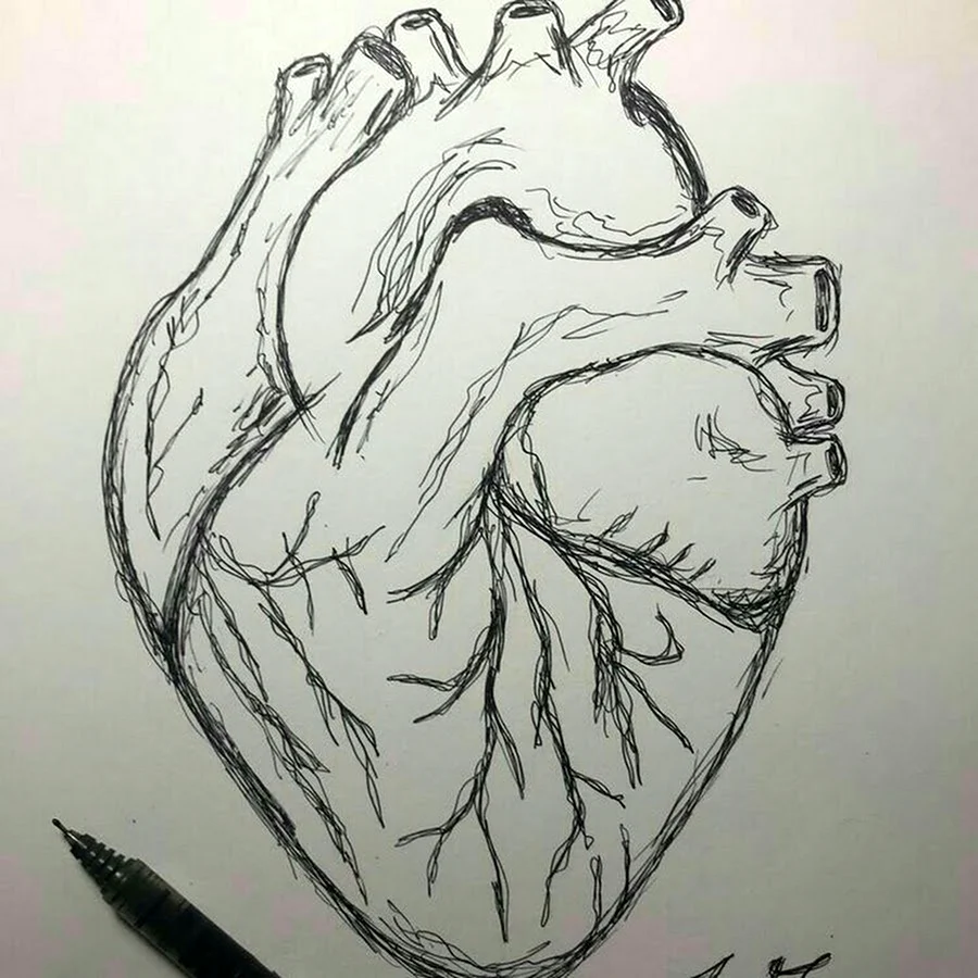 Сердце карандашом