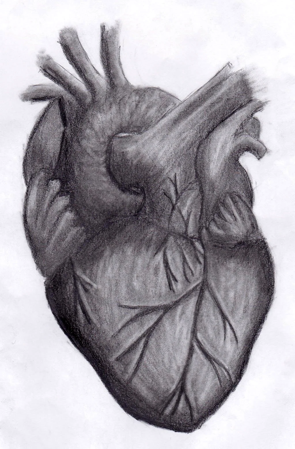 Сердце рисунок карандашом