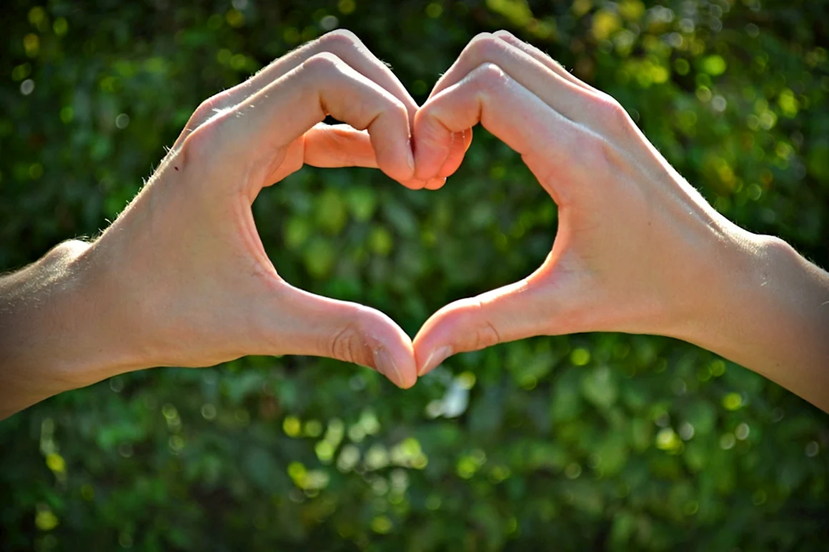 Сердце в руках