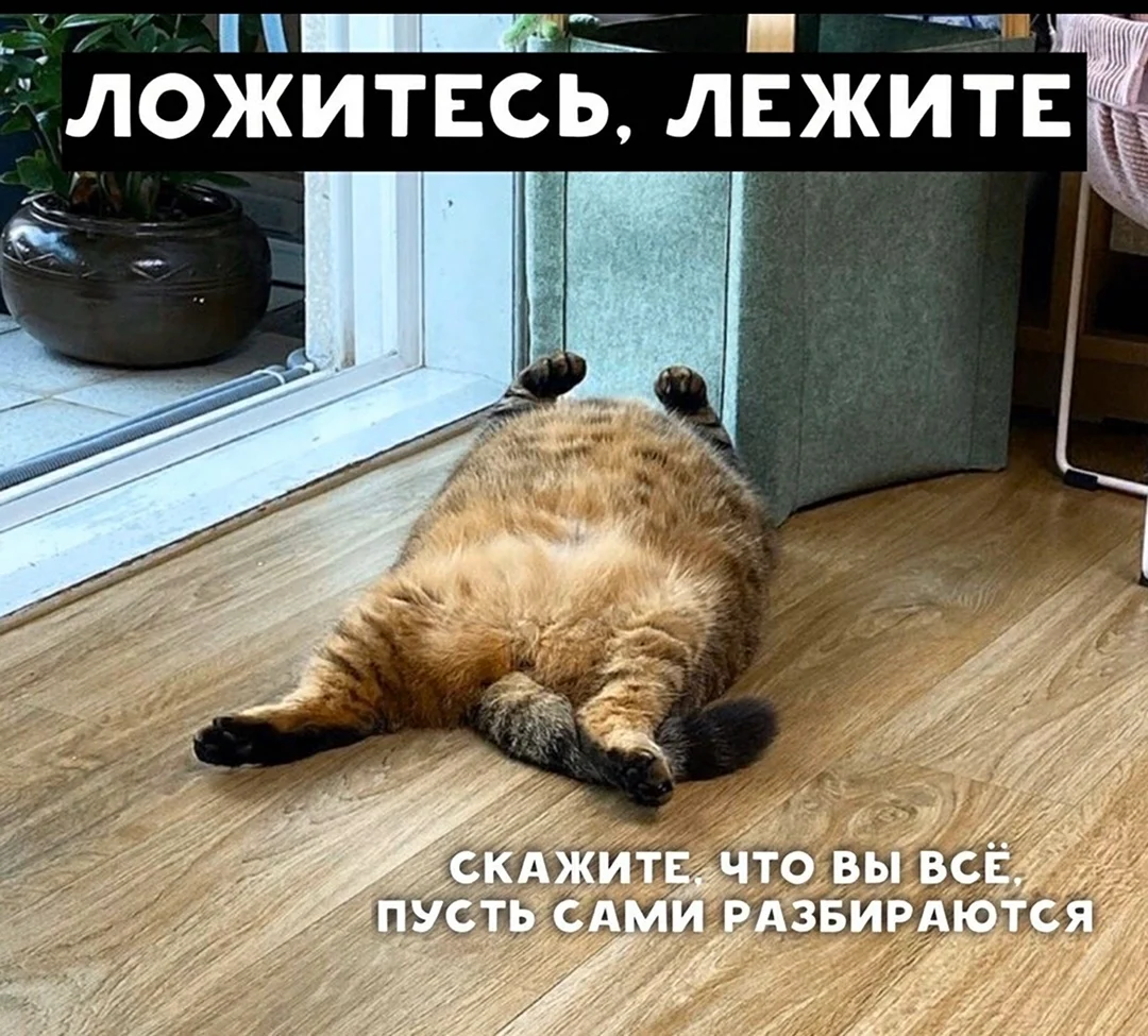 Середина рабочей недели