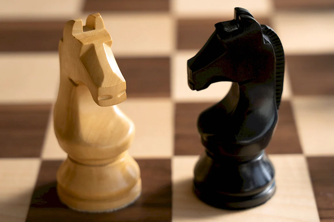 Шахматы Fide